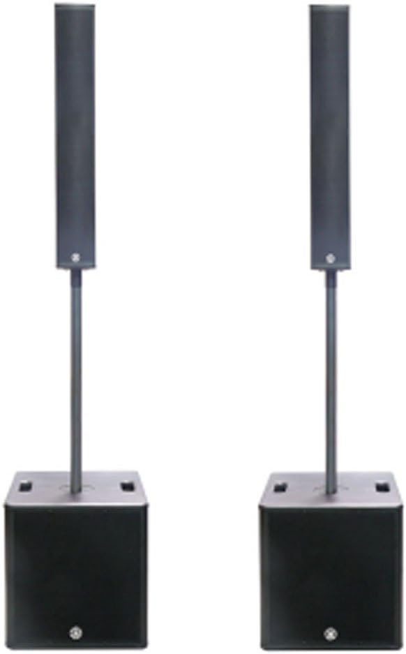 topp pro powered speaker