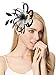 Merya Dress 2 Tone Kentucky Derby Fascinators Church Tea Party Bridal Hat Mesh Cocktail Headwear Feather Hats Black-White
