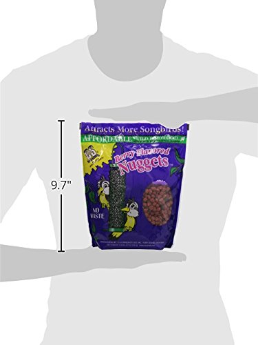 C & S Products Berry Flavored Nuggets, 6-Piece