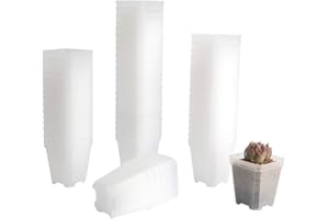 BangQiao 60 Pack Small 2.70 Inch Plastic Square Nursery Pot, Plant Starting and Transplant Planter Container with Drainage Hole for Seed Germination, Clear