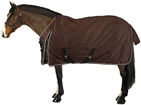 10 Mejores Mantas Para Caballos De Carreras : Noviembre 2020