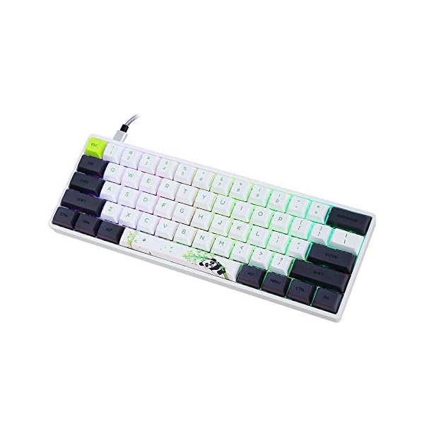 EPOMAKER SKYLOONG SK61 61 Keys Hot Swappable Mechanical Keyboard with RGB Backlit, NKRO, water-resistant, Type-C Cable…
