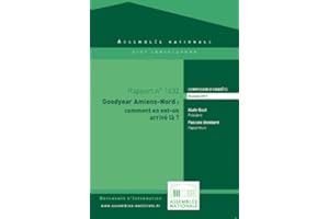 Rapport de la commision d'enquête relative aux causes du projet de fermeture de l’usine Goodyear d’Amiens-Nord et à ses consé