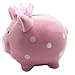 KOHIENWO Piggy Bank Ceramic Pig Money for Boys Girls Makes a Perfect Unique Gift, Nursery Décor, Keepsake, or Savings Piggy Bank for Kids