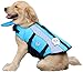 VIVAGLORY Front Float Dog Life Vest, Dog Life Jacket for Swimming & Boating, Swimming Vest with Chin Float & Handle, Ripstop & Buoyancy for Puppy Doggy, XS, Blue