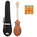Seagull M4 Merlin Mahogany EQ Acoustic-Electric Dulcimer with Seagull Gig Bag and Extra Set of Strings (042517)