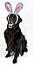 Midlee Easter Bunny Gray & Pink Rabbit Ears for Large Dogs Headband with Tail
