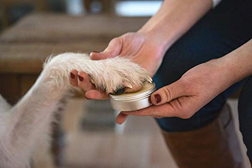 1 Organic+Natural+Paw+Repairs+Damaged