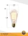 Edison light bulb – 6 Pack – The Capital - 40 Watt Bulb - Choose from many other designs. watt Inspired by Thomas Edison these incandescent filament style bulbs provide retro vintage light ambiance