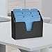 Acrimet Horizontal Triple File Folder Holder Organizer (Black Color)
