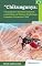 Livro Chikungunya: Tratamento e Receitas Naturais com Ênfase em Plantas Medicinais, Capsulas, Extratos e Chás - Volume 19