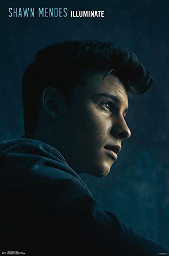 Trends international shawn mendes illuminate wall poste…