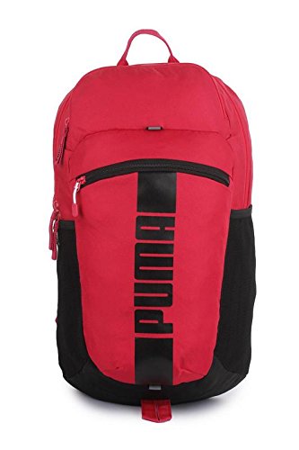 21 ltrs Pink Laptop Backpack (7440108)