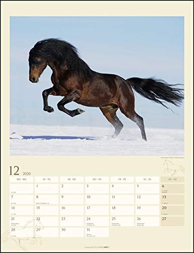 Pferde Schonheit Und Eleganz Wandkalender 2020 Monatskalendarium Spiralbindung Format 30 X 39 Cm Amazon De Weingarten Stuewer Sabine Bucher