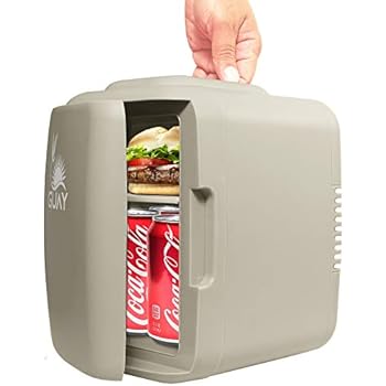 Guay Outdoors Portable Thermoelectric Mini Fridge Cooler and Warmer - Compact 4 Liter / 6 Cans - AC/DC Food Drink Milk Skincare for Car Travel Dorm Camping Home Office Desk and Bedroom (Gray)