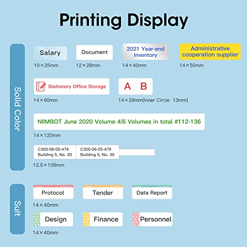 NIIMBOT B18 Portable Label Maker with Black Ribbon Cartridge and White Labels, Wireless Bluetooth Connection, Mobile Editing, Support Color Printing, Mini Sticker Printer for Labeling Office Files