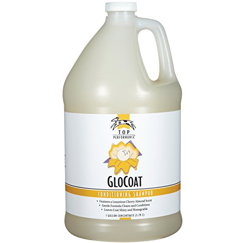 Top Performance GloCoat Conditioning Dog Shampoo, 1-Gallon