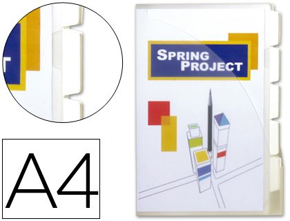 BeautyOne Plastic File Box DIN A4 with 10 Sleeves 5 Dividers