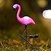 Elnsivo Flamingo Lawn Lamp Garden Decor Solar Lights Solar Yard Pink Flamingo Lights Outdoor Decorative Stake - Solar Pink Flamingo Yard Ornaments(Solar Flamingo)