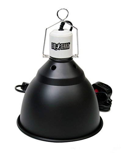 exo terra lamp stand