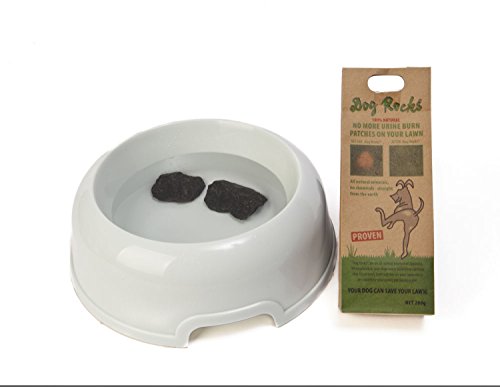 Dog Rocks Prevent Grass Burn Marks, 2 Month Supply