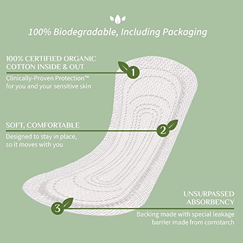 Organyc 100% Certified Organic Cotton Flat Panty Liner - Everyday Sanitary Pad, Free from Wood Pulp, Perfumes, SAP and Chemicals - Light Flow+, 24 Count