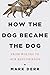 How the Dog Became the Dog: From Wolves to Our Best Friends
