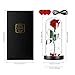 Glass Flower Galaxy Rose Gift for Women: Light Modes, USB Plug & Battery Powered Mother Birthday Thanksgiving Present Mom Her Wedding Anniversary Delivery Day Idea from Daughter
