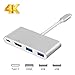 USB-C Hub to HDMI 4K, Type C to HDMI 2 USB3.0 PD Adapter, Portable Converter Adaptor for 2017 MacBook Pro/Samsung Galaxy S8/S8 Plus, Multi-Port Charging & Connecting Adapte (Plug and Play)