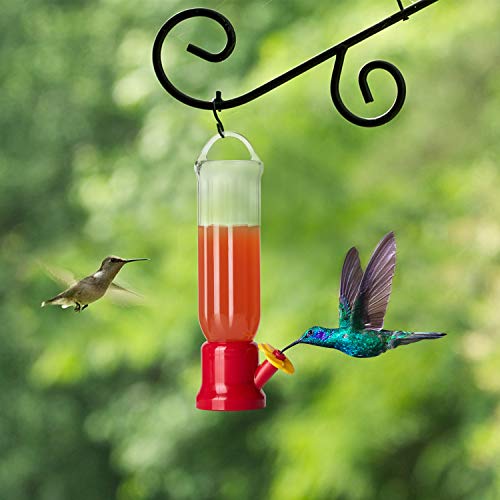 Orientools Hummingbird Feeder With 2 Window Mount Suction Cup