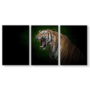 Canvas Wall Art King of Forest Tiger Canvas Painting Wall Poster Decor for Living Room Framed Home Decorations - 16"x24" x 3 Panels