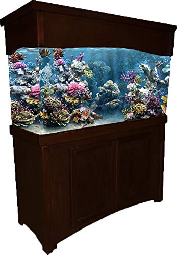 Birch Calypso 48″X24″ Espresso 30″ Tall Aquarium Stand fits120 Gal & Birch Calypso 48″X24″ Espresso 10″ Tall Canopy fits120 Gal(Tank NOT Included)
