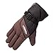 Winter Snow, Ski, Snowboard, Cold Weather Gloves fashion outdoor Gloves for Men & Women (coffee)