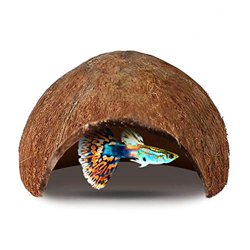 SunGrow Guppy Cave, Coconut Shell Habitat, Soft, Smooth Edged Spacious Hideout for Resting and Reproducing, Shelter and Hideout for Guppy Babies