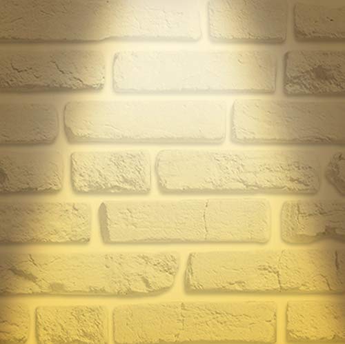 OSTWIN 6 inch LED Recessed PROFILE SLIM ROUND PANEL Light with Junction Box, Dimmable, 15W (110 Watt Replacement), 3000K (Warm White), 1125 Lumens, No Can Needed (12 Pack), ETL and Energy Star Listed