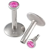 16g gauge 1/4 Surgical Steel Lip Bar Labret Ring Monroe Ear Tragus Stud Bars 2mm Internal Rose Piercing 2Pcs ALRU