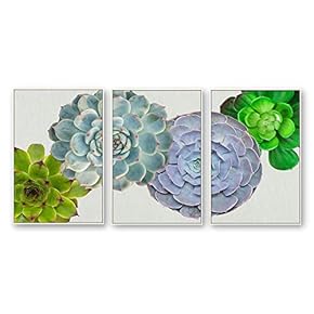 Framed Canvas Wall Art for Living Room, Bedroom Beautiful Plants Cactus Canvas Prints for Home Decoration Ready to Hanging - 16"x24"x3 Panels