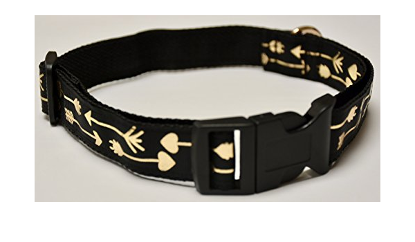 siberian husky in siberia