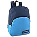 Classic 15 Inch Backpacks Bulk Wholesale Lot Case Pack 24 Back to School Supplies (8 Two Toned Colors)