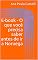 Livro E-book - O que você precisa saber antes de ir a Noruega