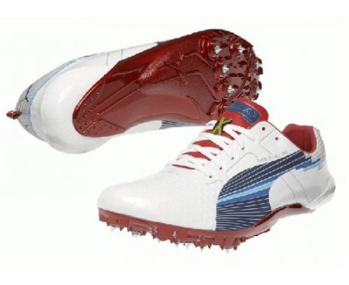 Puma evo Speed Electric 8