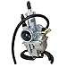 Caltric Carburetor Compatible with Kawasaki Bayou 250 Klf250A 2003-2006 15003-0013 15003-1716