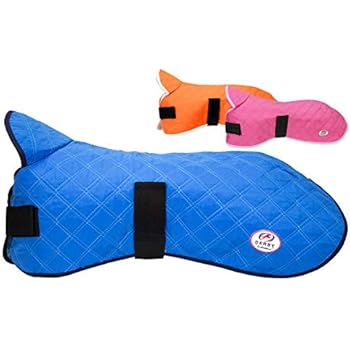 Derby Originals Hydro Cooling Dog Jacket, Reflects Heat & Keeps Dogs Cool for up to 10 Hours (Royal Blue, 22