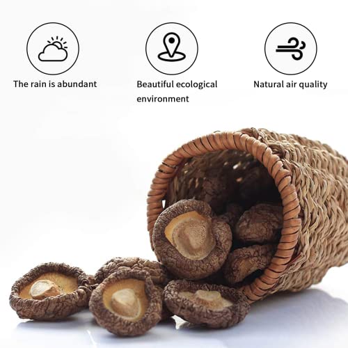 Yan Hou Tang Dried Shiitake Mushrooms Premium New Mycological Dehydrated Mushrooms for Cooking Rehydrate Quickly Soft Texture Fresh Flavor Stemless Natural Grown Mushroom 30-40 mm 8 oz 225gram