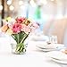 Party Like It's '99 Heavy Duty Premium Flannel Backed Vinyl Tablecloths (2 Pack), Solid Color