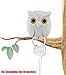 Hunger Night Owl Magnetic Wall Key Holder - Easy to Mount - Powerful Magnets Keep Keychains and Loose Keys Securely in Place (White)