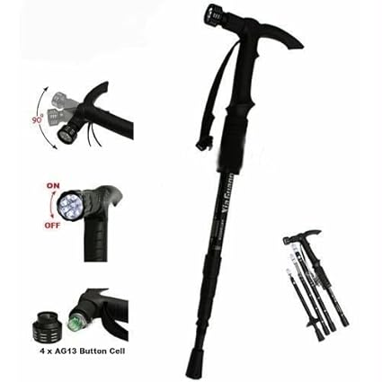 trekking stick price