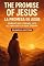 Livro The Reward of Renunciation: When Leaving Everything Means Gaining Eternity (Livros Bilingue)