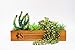 Artificial Succulent Plants 10 PCS, Unpotted Faux Assorted Succulent Plants Fake Cactus String of Pearls Succulent, Create Realistic Succulent Arrangements,Great Decor Accent for Home & Office