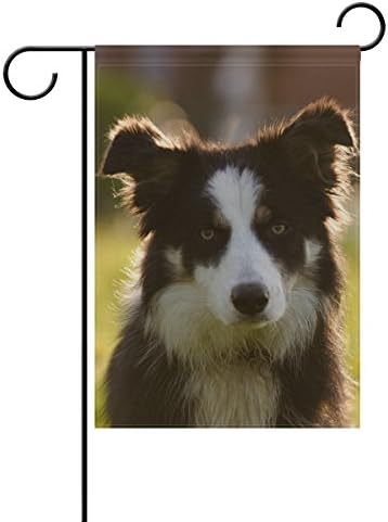 Blue Viper Border Collie Dog Potrait Garden Flag Banner 12 x 18 Inch Decorative Garden Flag for Outdoor Lawn and Garden Home Décor Double-Sided